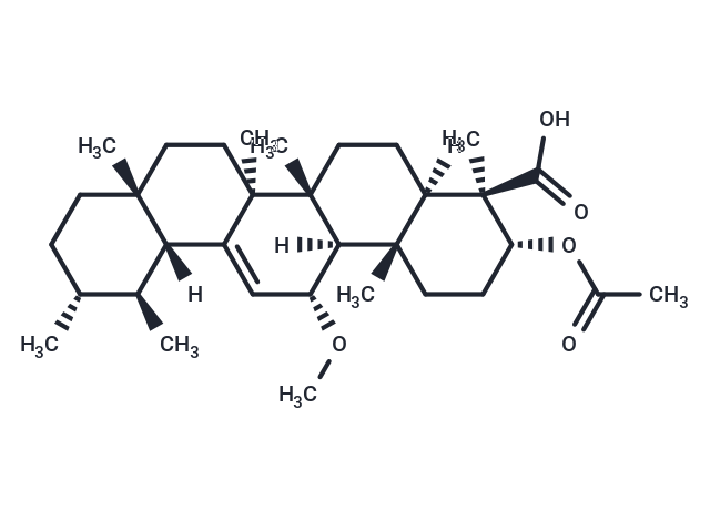 乙酰 11α-甲氧基-β-乳香酸|TN2450|TargetMol