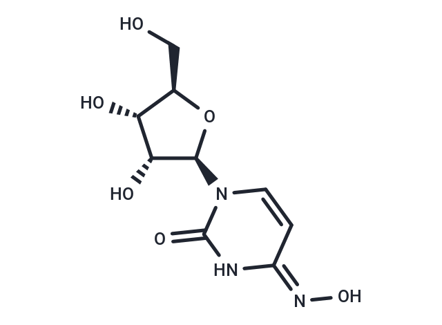 化合物 EiDD1931|T8498|TargetMol