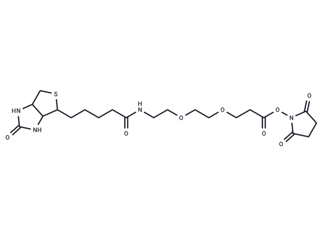 化合物 Biotin-PEG2-NHS ester|T14588|TargetMol