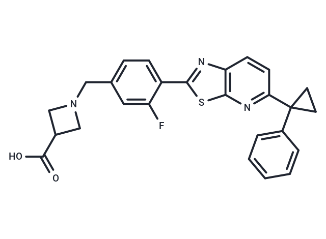 化合物 AMG-369|T29971|TargetMol