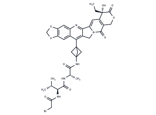 化合物 Br-Val-Ala-NH2-bicyclo[1.1.1]pentane-7-MAD-MDCPT|T74751|TargetMol