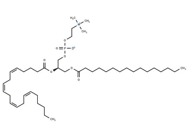 2-花生四烯酰-1-棕榈酰-sn-甘油-3-磷酸胆碱|T85255|TargetMol