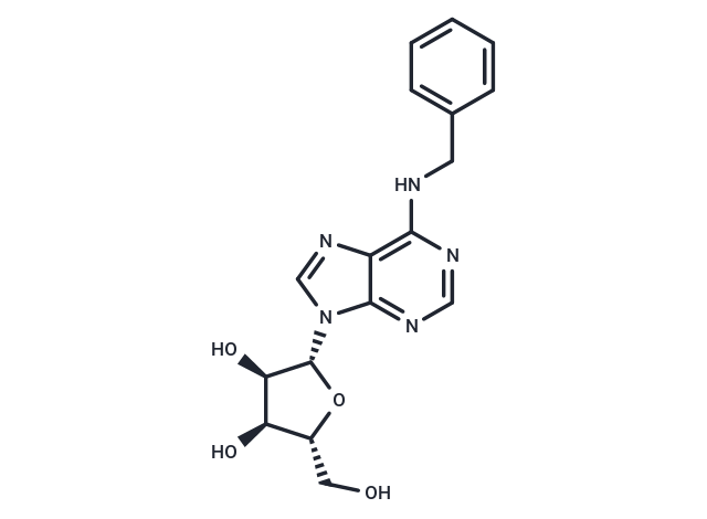 N6-Benzyladenosine|T65346|TargetMol