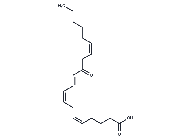 12-OxoETE|T37972|TargetMol