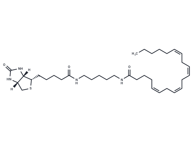 Arachidonic Acid-biotin|T38070|TargetMol