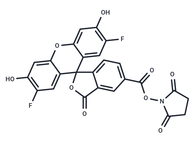 OG 488, SE|T39402|TargetMol
