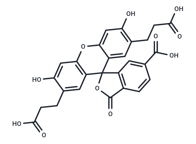 化合物 BCECF|T18922|TargetMol