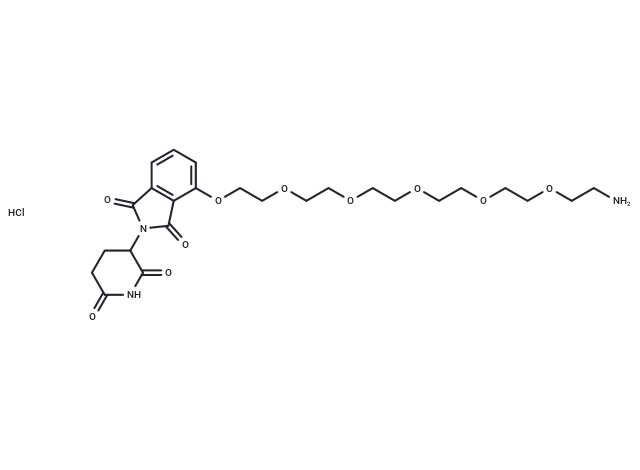 Pomalidomide-PEG6-NH2 hydrochloride|T39875|TargetMol