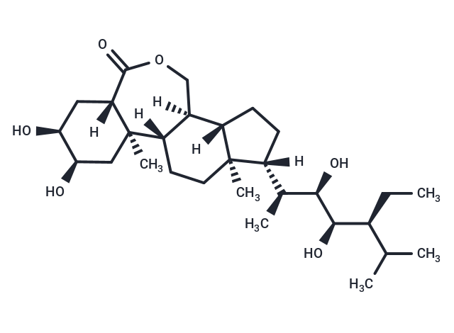 化合物 28-high brassinolide|T8465|TargetMol