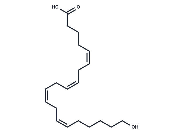 化合物 20-HETE|T14021|TargetMol