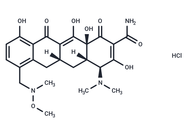 Sarecycline 盐酸盐|T21394|TargetMol