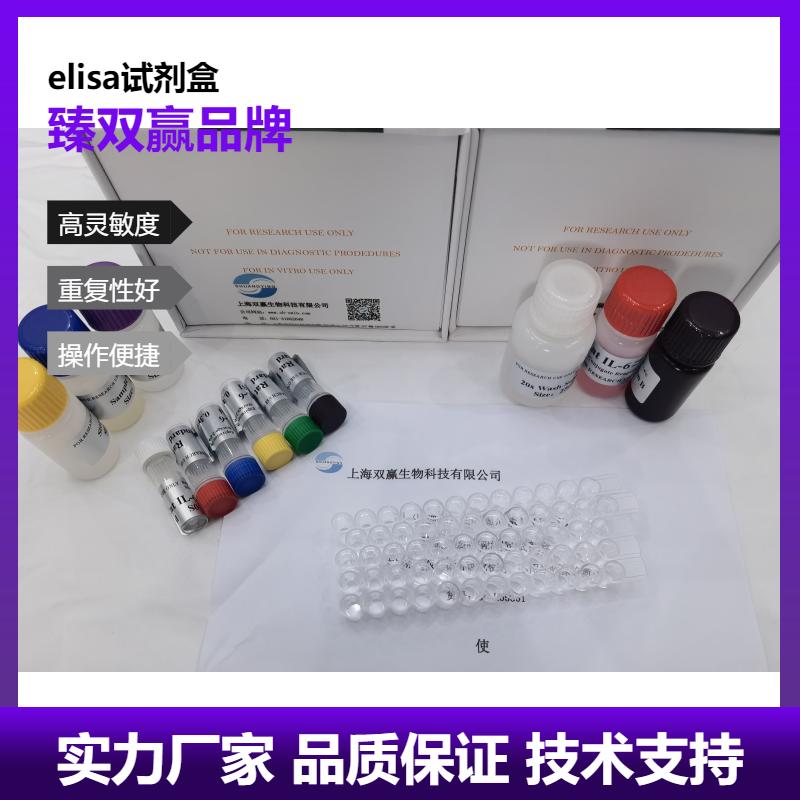人p11 ELISA试剂盒