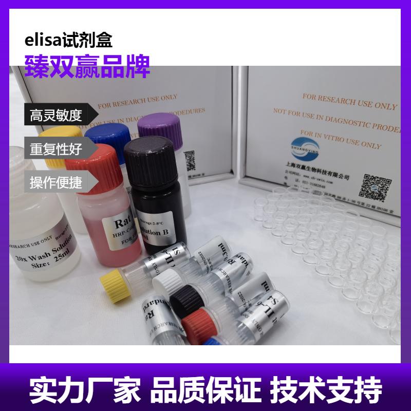 人胆碱转运蛋白（CHT1）ELISA试剂盒