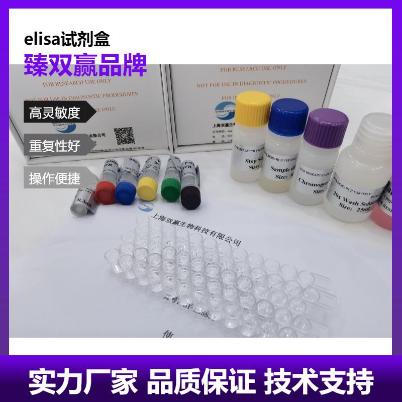 人胆碱转运蛋白（CHT1）ELISA试剂盒