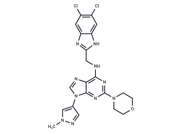化合物 SR-4835|T8325|TargetMol