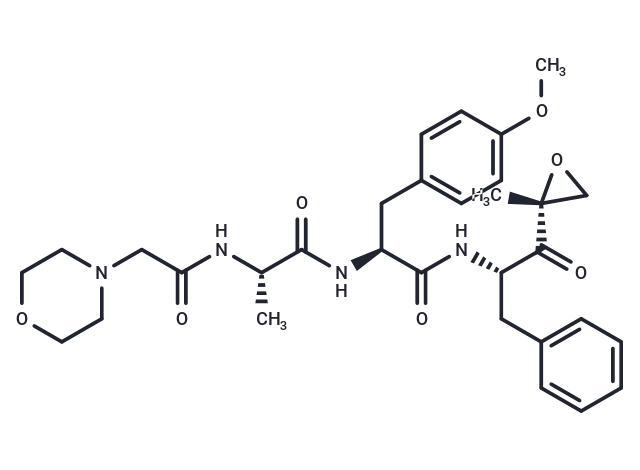 化合物 ONX0914|T6029|TargetMol