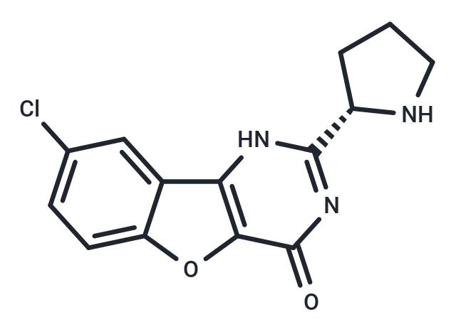 化合物 XL413|T3352|TargetMol