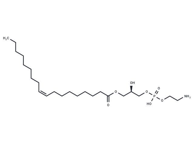 化合物18:1 Lyso-PE|T37280|TargetMol