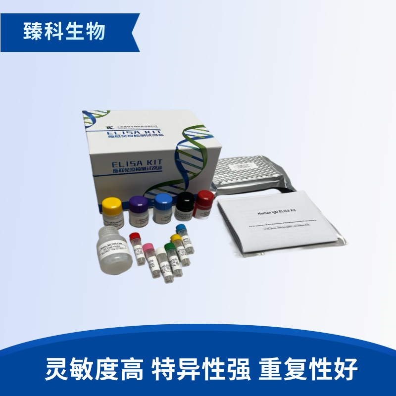 人AKT蛋白(AKT）检测试剂盒（ELISA法）