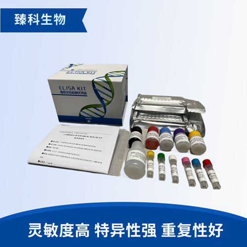 人肽基精氨酸脱亚氨酶4抗体(PAD4 Ab)ELISA试剂盒（ELISA法）