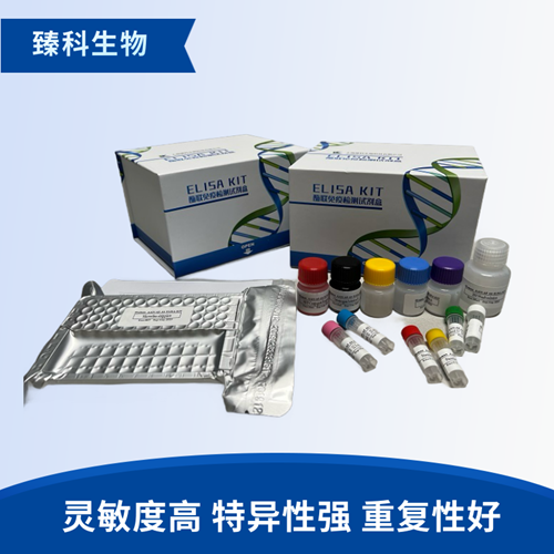 人肽基精氨酸脱亚氨酶4抗体(PAD4 Ab)ELISA试剂盒（ELISA法）