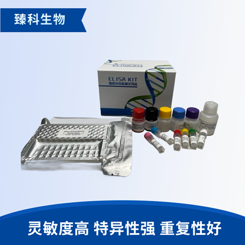 人磷酸化核因子κB抑制蛋白α(pIKBα）elisa试剂盒