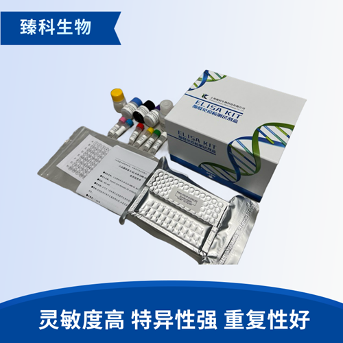 人磷酸化cAMP反应元件结合蛋白1(pCREB1）elisa试剂盒