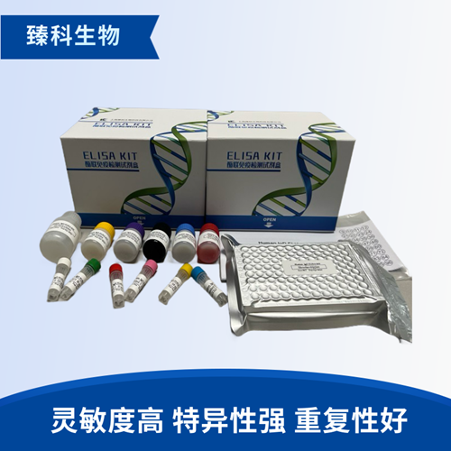 人磷酸化cAMP反应元件结合蛋白1(pCREB1）elisa试剂盒