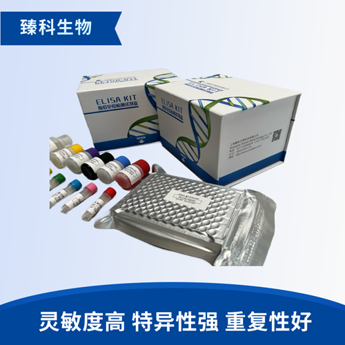 人磷酸化cAMP反应元件结合蛋白1(pCREB1）elisa试剂盒