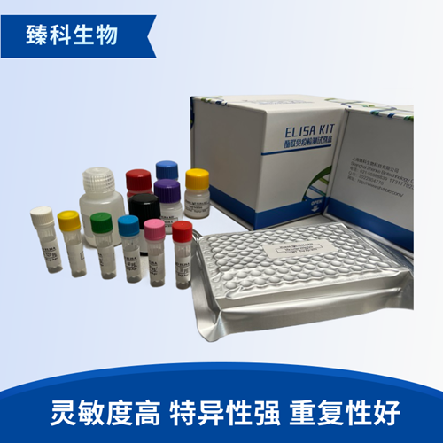 人类白细胞抗原B27(HLA-B27）elisa试剂盒