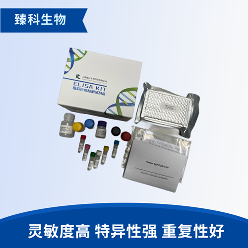 人类白细胞抗原A(HLA-A）elisa试剂盒