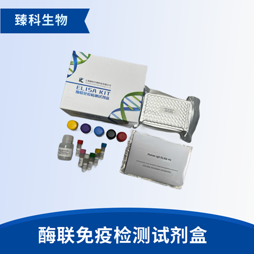 人抗脱氧核糖核蛋白抗体(DNP-Ab）elisa试剂盒