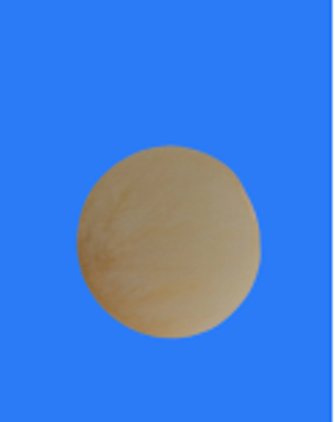 5-溴-2-羟基-3-硝基吡啶