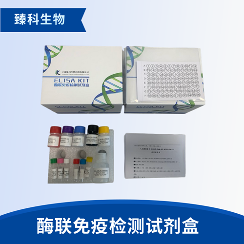 大鼠抗精子抗体(As-Ab）elisa试剂盒