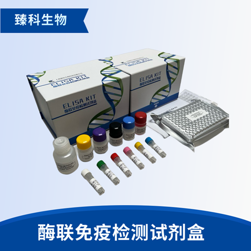 大鼠生长激素受体(GHR）elisa试剂盒