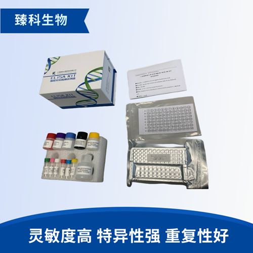 大鼠呼肠弧病毒3(RE3）elisa试剂盒