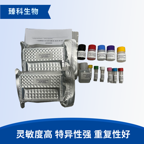 大鼠蛋白磷酸脂酶(PP2A）elisa试剂盒