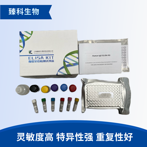 大鼠ⅡA组磷脂酶A2(PLA2G2A）elisa试剂盒