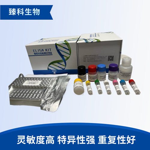 大鼠谷胱甘肽硫转移酶pi基因(GSTpi）elisa试剂盒