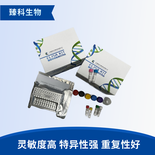 大鼠5羟色胺2B受体(5-HT2BR）elisa试剂盒