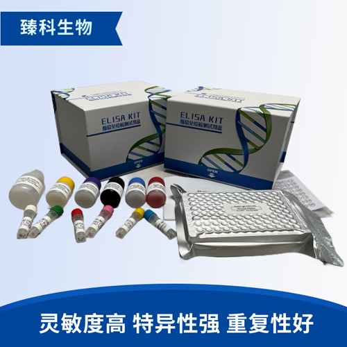 大鼠父系表达基因2(PEG2）elisa试剂盒
