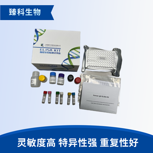 大鼠氧化三甲胺(TMAO）elisa试剂盒