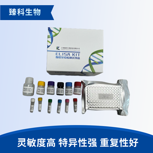 大鼠嗜铬瘤细胞(PC12）elisa试剂盒