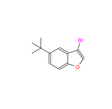 3-溴-5-叔丁基苯并呋喃