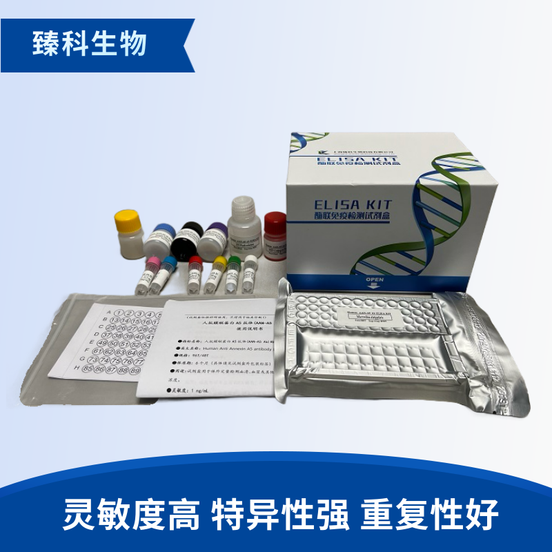 大鼠谷氧还蛋白(GLRX）elisa试剂盒