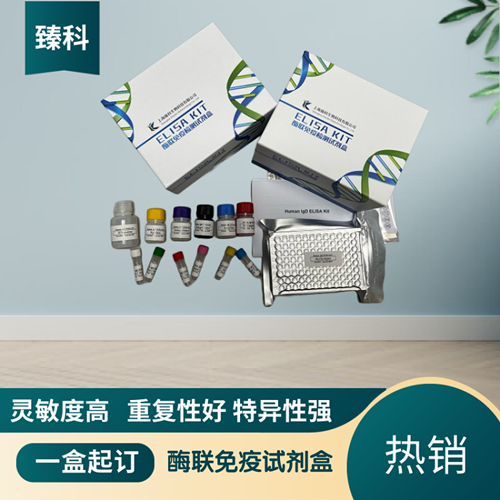 大鼠胰高血糖素(GC）elisa试剂盒