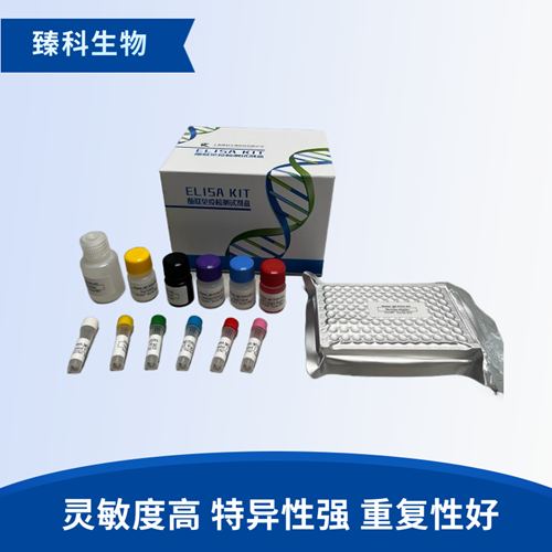 大鼠血管内皮生长因子受体2(VEGFR-2）elisa试剂盒