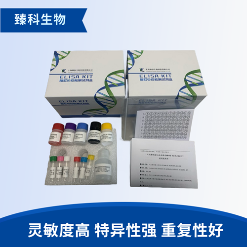 大鼠血管内皮生长因子受体1(VEGFR-1）elisa试剂盒