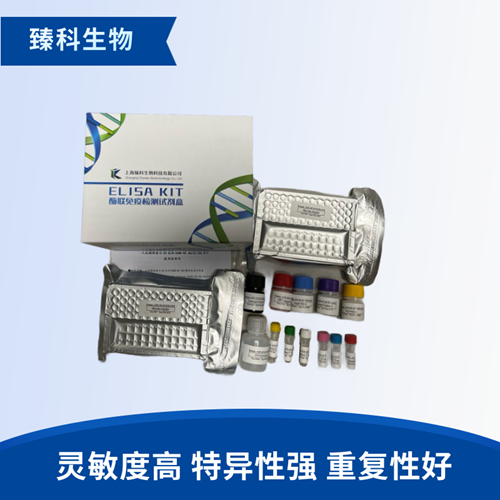 大鼠细胞色素P4501A2(CYP1A2）elisa试剂盒