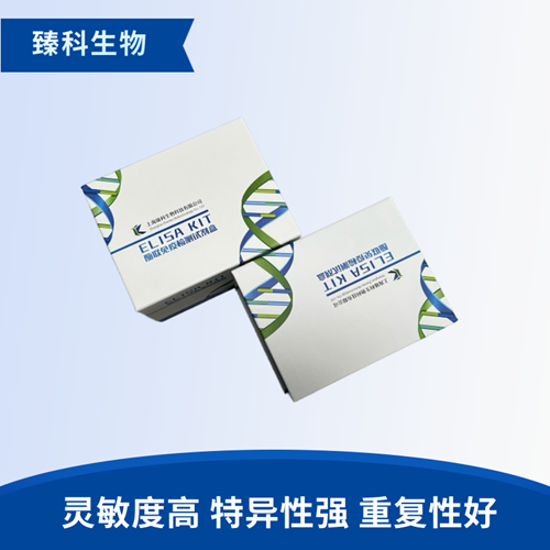 大鼠生长相关蛋白43(GAP-43）elisa试剂盒